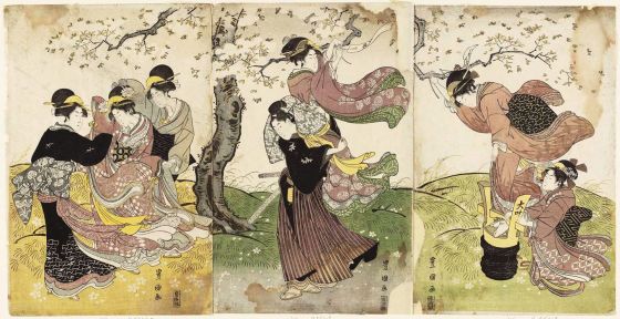 Cherry Blossoms in the Wind 1795-1801 utagawa toyokuni i 2