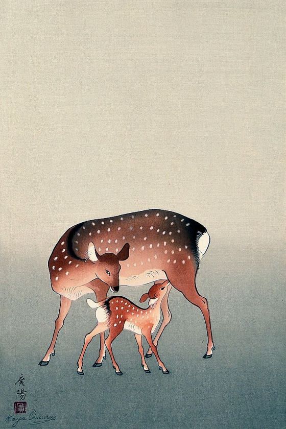 omura koyo deer and fawn2
